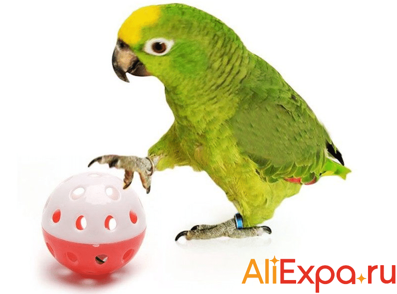 Мячик для попугая Let’s Pet купить на Алиэкспресс